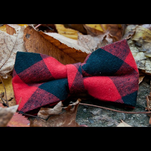 GAC: Introducing the "Rugged Terrain" Collection. See the entire collection here - http://gregoryallencompany.com #bowties #gregoryallencompany #ruggedterrain #gac #menswear - via Instagram