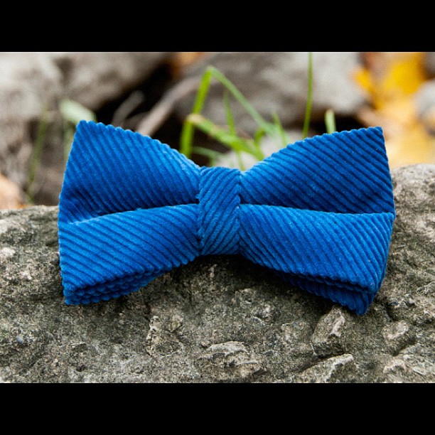"Perennial Blue" Bow Tie from the "Rugged Terrain" Collection. Now Available for purchase. http://gregoryallencompany.com #bowties #gregoryallencompany #ruggedterrain #gac #menswear - via Instagram