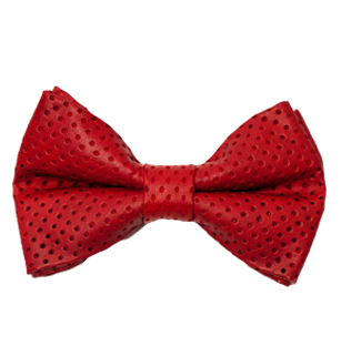 Boy’s Red Leather Bow Tie