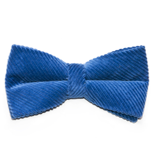 Rugged Terrain Collection: Perennial Blue Bow Tie