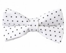 2013 Spring Women's White with Black Polka Dots Bow Tie