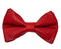Shop Page - Boys Red Leather Bow Tie_edited-1