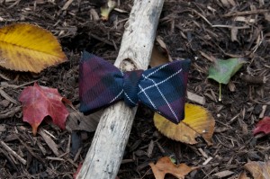 The Parker Bow Tie