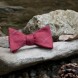 The Gilford Bow Tie